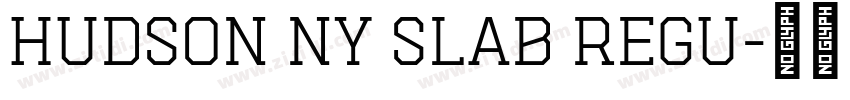 Hudson NY Slab Regu字体转换